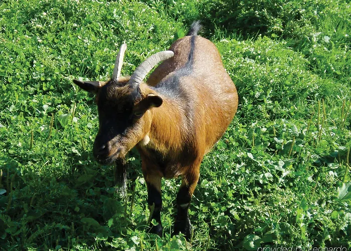 Fletcher Restaurant De Gelderse Poort Ξενοδοχείο 4*